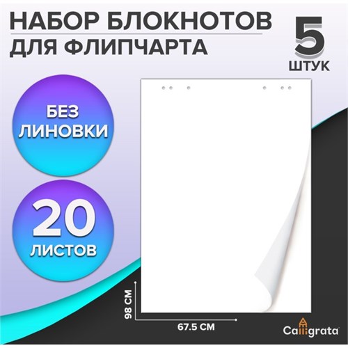 Набор блокнотов 5 штук для флипчарта, 67,5 х 98 см, 20 листов белый, 92%, 80 г/м2, Calligrata 9438096 - фото 16898427