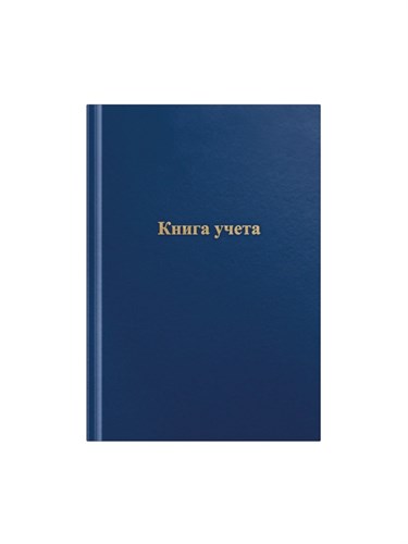Книга учета, 192 листа, обложка бумвинил, блок ГАЗЕТНЫЙ, клетка, цвет синий 9563364 - фото 16905670