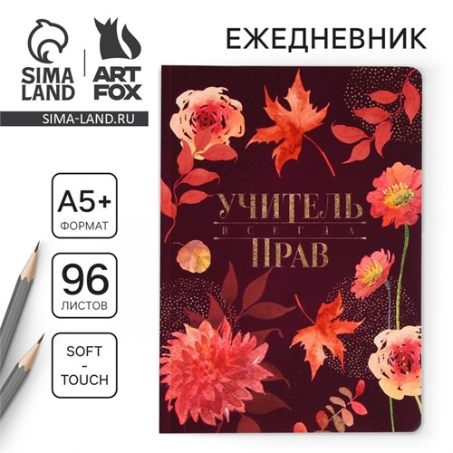 Большой ежедневник «Учитель всегда прав» soft-touch, формат А5+, 96 листов, мягкая обложка, линейка 9559784 - фото 16907705