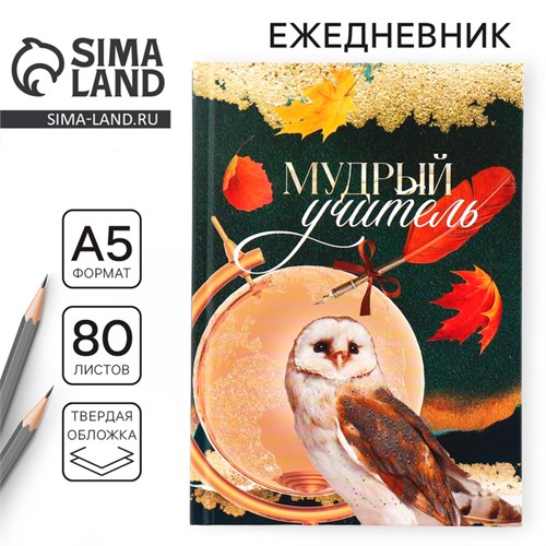 Ежедневник, твёрдая обложка, формат А5, 80 листов «Учителю: Мудрый учитель» 9559797 - фото 16909573