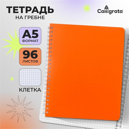 Тетрадь на гребне A5 96 листов в клетку Calligrata Оранжевая, пластиковая обложка, блок офсет 9253717 - фото 16910420