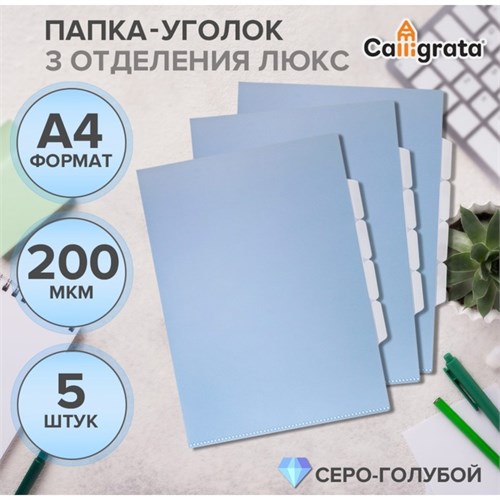 Набор папок уголков, А4, 200 мкм, 5 штук, Calligrata TOP Breeze, 3 отделения, небесный, глянцевые, полупрозрачные 9915348 - фото 16916854