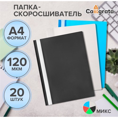 Набор папок-скоросшивателей А4, 120мкм, Calligrata, 20 штук, прозрачный верх, микс 10137842 - фото 16919554