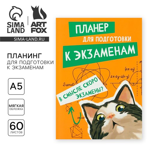 Планинг для подготовки к экзаменам, А5 60 л. Мягкая обложка «Кот» 10225182 - фото 16928066
