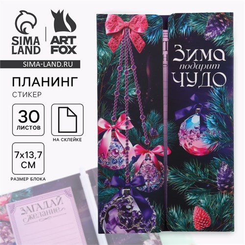 Набор "Зима подарит чудо! Твой самый лучший год!", планинг-стикеры 30 л, ручка пластик 10361213 - фото 16935856
