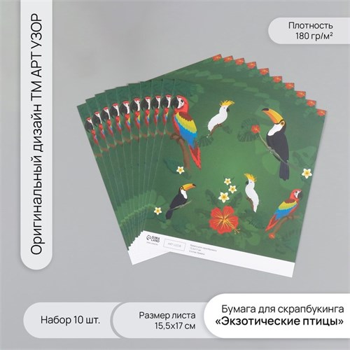 Бумага для скрапбукинга "Экзотические птицы" плотность 180 гр набор 10 шт 15,5х17 см 10718332 - фото 16937850