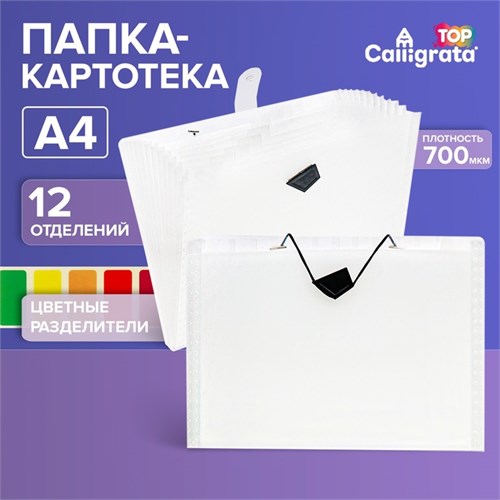 Папка-картотека А4, Calligrata TOP DeLuxe, 12 отделений, 700 мкм, на кнопке, белая с цветными разделителями 10637608 - фото 16940632