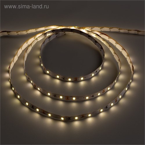 Светодиодная лента Ecola STD 5 м, IP20, SMD3528, 60 LED/м, 4.8 Вт/м, 12 В, 4200К 3627694 - фото 16956080