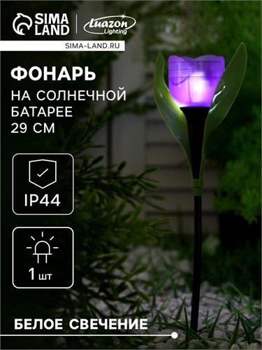 Садовый светильник на солнечной батарее «Тюльпан фиолетовый», 4.5 × 29 × 4.5 см, 1 LED, свечение белое 5363364 - фото 16969072