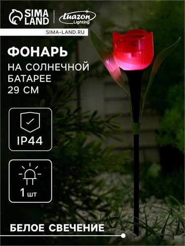 Садовый светильник на солнечной батарее «Тюльпан красный», 4.5 × 29 × 4.5 см, 1 LED, свечение белое 5363362 - фото 16969433