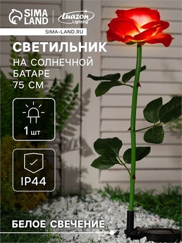 Садовый светильник на солнечной батарее «Роза красная», 75 см, 5 LED, свечение белое 7291266 - фото 16973037