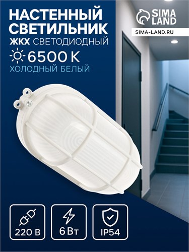 Светильник ЖКХ светодиодный, 6 Вт, IP54, 6500К, 220В, овал, пластик, белый 10698424 - фото 17020915
