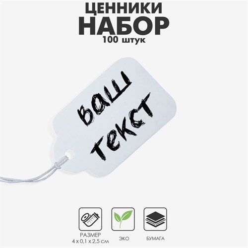 Ценник набор 100 шт., 2,5 х 4, цвет белый 9218034 - фото 17045626