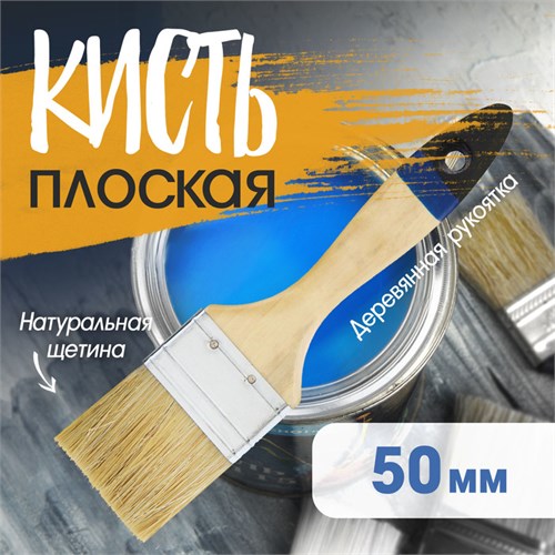 Кисть плоская ТУНДРА, натуральная щетина, деревянная ручка, 2", 50 мм 881529 - фото 17089934