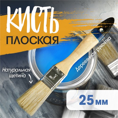 Кисть плоская ТУНДРА, натуральная щетина, деревянная рукоятка, 1", 25 мм 881527 - фото 17089984