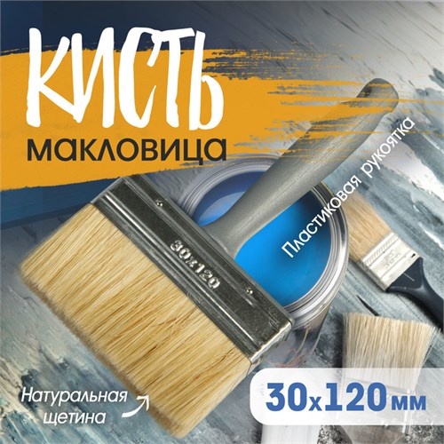 Кисть-макловица ТУНДРА, натуральная щетина, пластиковая рукоятка, 30х120 мм 881580 - фото 17089990