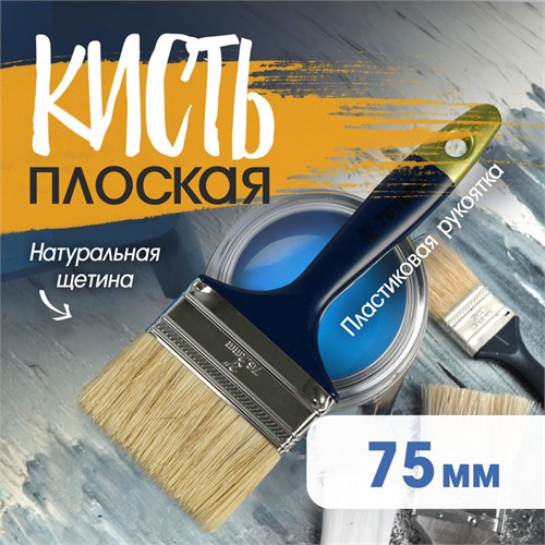 Кисть плоская ТУНДРА, натуральная щетина, пластиковая рукоятка, 3", 75 мм 881519 - фото 17090010