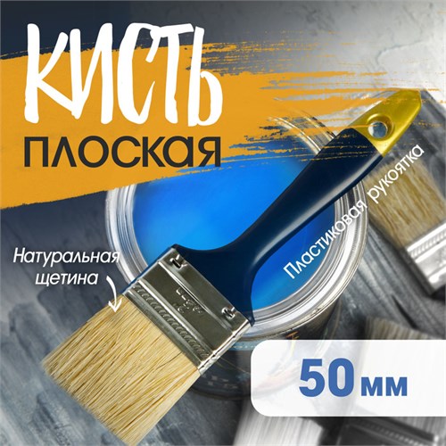 Кисть плоская ТУНДРА, натуральная щетина, пластиковая рукоятка, 2", 50 мм 881517 - фото 17090050