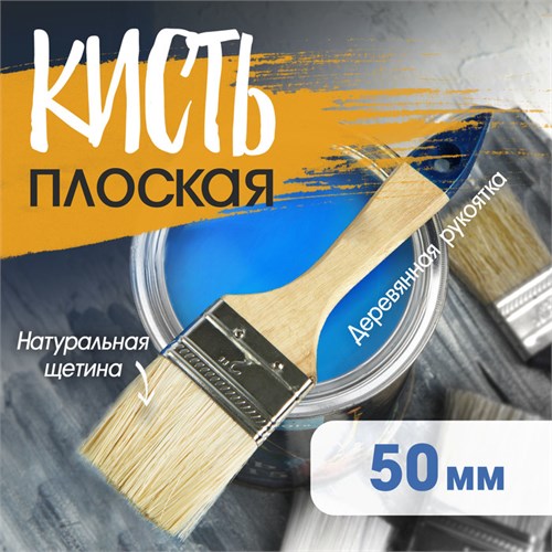 Кисть плоская ТУНДРА, натуральная щетина, деревянная рукоятка, 2", 50 мм 881504 - фото 17092974
