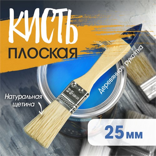 Кисть плоская ТУНДРА, натуральная щетина, деревянная рукоятка, 1", 25 мм 881502 - фото 17092980
