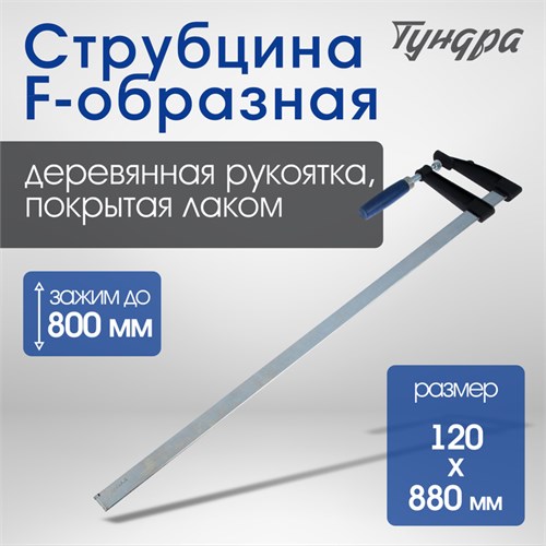 Струбцина F-образная ТУНДРА, 800 х 120 х 880 мм 1722225 - фото 17097778