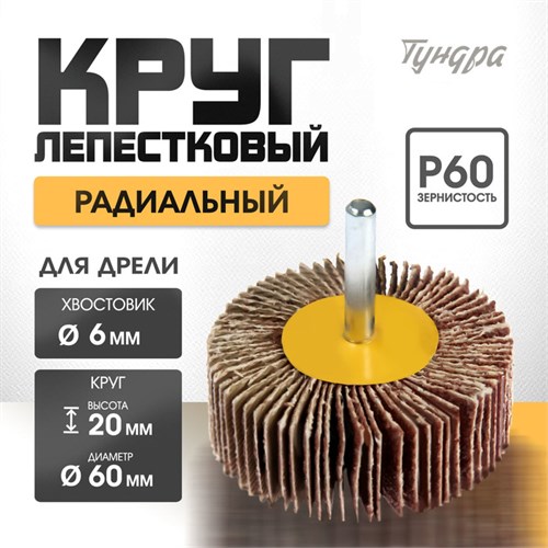 Круг лепестковый радиальный ТУНДРА, 60 х 20 х 6 мм, Р60 1875463 - фото 17101248