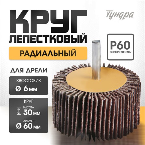 Круг лепестковый радиальный ТУНДРА, 60 х 30 х 6 мм, Р60 1875466 - фото 17101265
