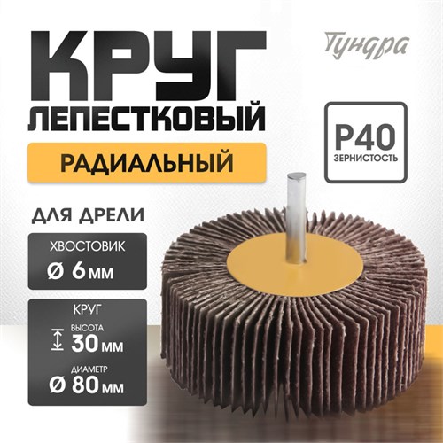 Круг лепестковый радиальный ТУНДРА, 80 х 30 х 6 мм, Р40 1875468 - фото 17101276