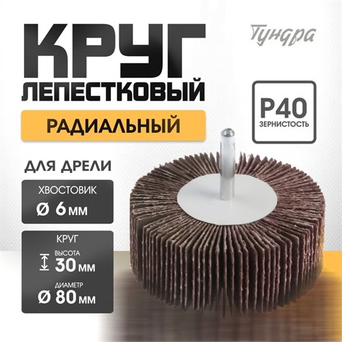 Лепестковый круг для дрели 80х30х6 мм Р60 радиальный универсальный ТУНДРА 1875469 - фото 17101282