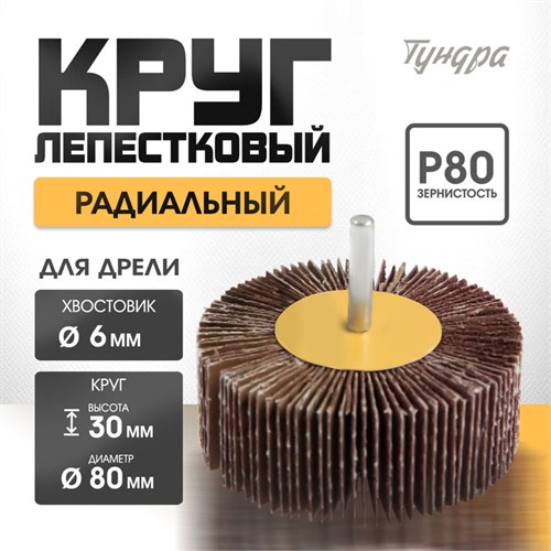 Круг лепестковый радиальный ТУНДРА, 80 х 30 х 6 мм, Р80 1875470 - фото 17101287