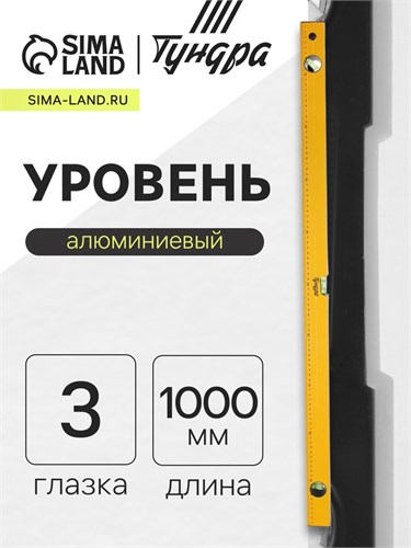 Уровень алюминиевый ТУНДРА, 3 глазка, линейка, 1000 мм 2964624 - фото 17107153