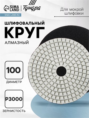 Алмазный гибкий шлифовальный круг ТУНДРА "Черепашка", для мокрой шлифовки, 100 мм, № 3000 3594928 - фото 17107702