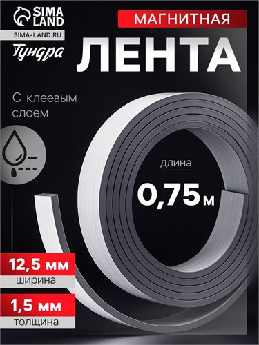 Магнитная лента ТУНДРА, с клеевым слоем, 12.5 х 1.5 мм, длина 0.75 м 4334645 - фото 17116112