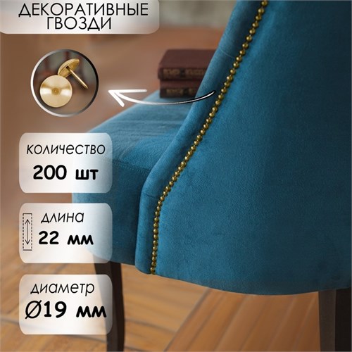 Гвозди ТУНДРА, декоративные, 19х22 мм, золото, 200 шт 4647159 - фото 17120751