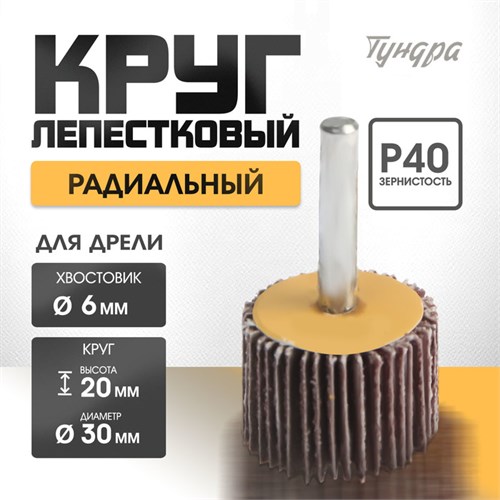 Круг лепестковый радиальный ТУНДРА, 30 х 20 х 6 мм, Р40 5162348 - фото 17124584