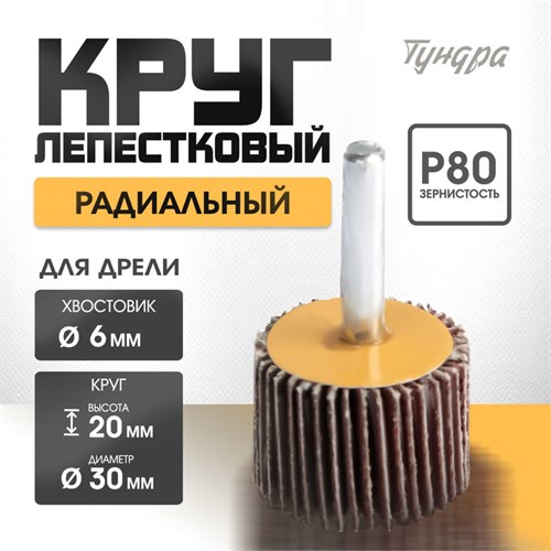 Лепестковый круг для дрели 30х20х6 мм Р80 радиальный универсальный ТУНДРА 5162350 - фото 17124590
