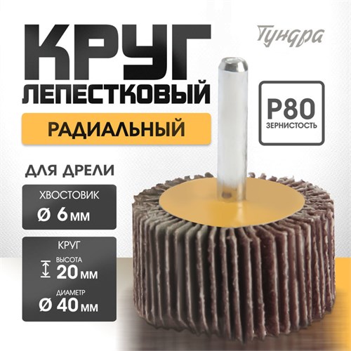 Круг лепестковый радиальный ТУНДРА, 40 х 20 х 6 мм, Р80 5162353 - фото 17124607