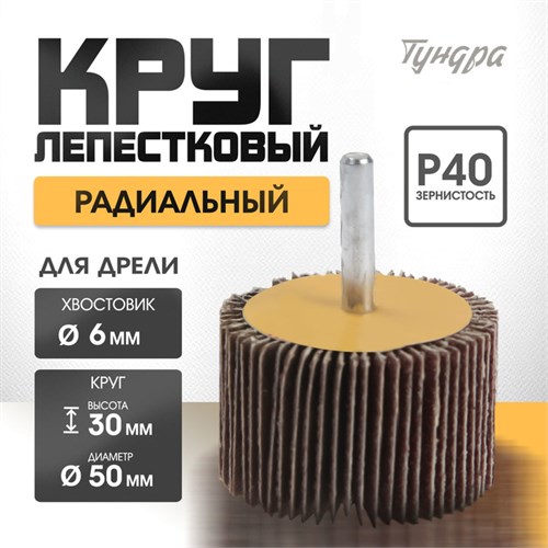 Круг лепестковый радиальный ТУНДРА, 50 х 30 х 6 мм, Р40 5162354 - фото 17124612