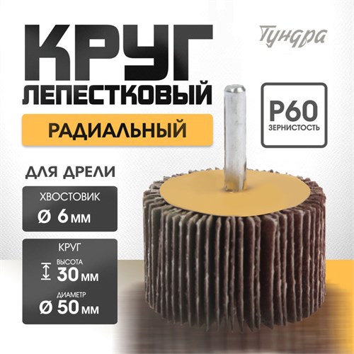 Круг лепестковый радиальный ТУНДРА, 50 х 30 х 6 мм, Р60 5162355 - фото 17124617