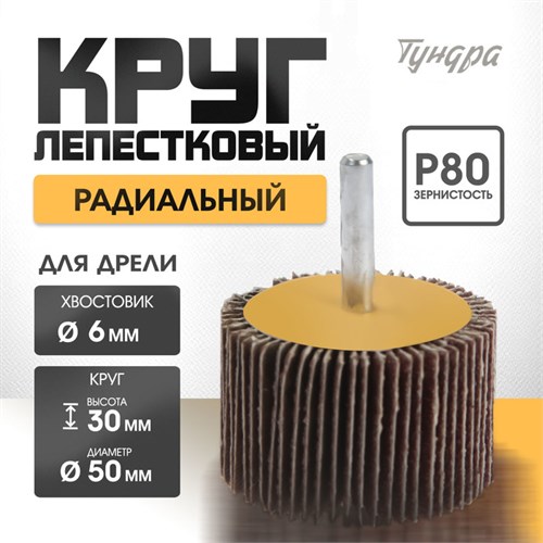 Круг лепестковый радиальный ТУНДРА, 50 х 30 х 6 мм, Р80 5162356 - фото 17124622