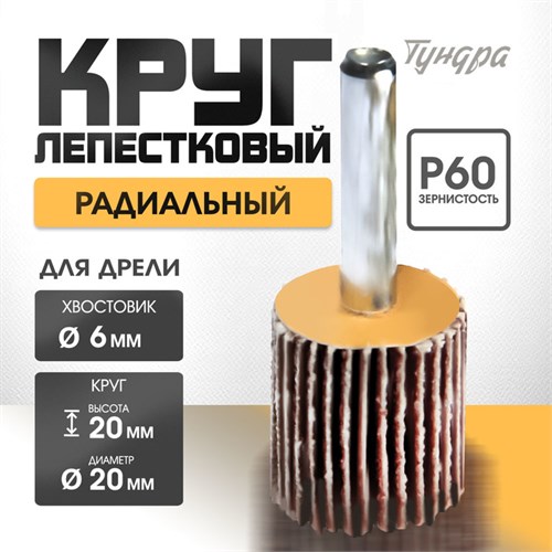 Круг лепестковый радиальный ТУНДРА, 20 х 20 х 6 мм, Р60 5162346 - фото 17124683