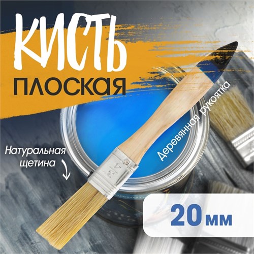 Кисть плоская ТУНДРА, натуральная щетина, деревянная рукоятка, 3/4", 20 мм 5239762 - фото 17125204