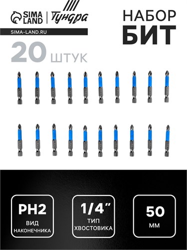 Биты ТУНДРА, сталь S2, пластиковая коробка, PH2 х 50 мм, 20 шт. 5354682 - фото 17127746
