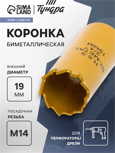 Коронка биметаллическая ТУНДРА, 19 мм, M14 7351922 - фото 17138057