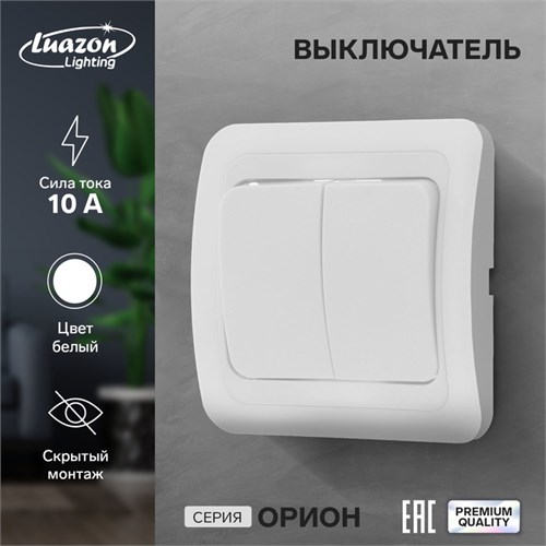 Выключатель Luazon Lighting "Орион", 10 А, 2 клавиши, скрытый, белый 9919816 - фото 17165874