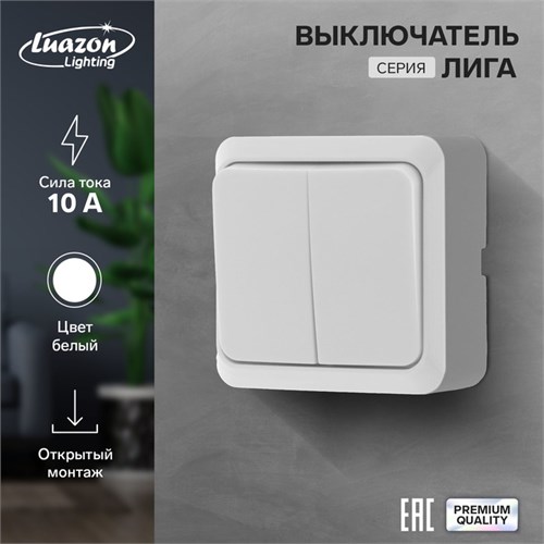 Выключатель Luazon Lighting "Лига", 10 А, 2 клавиши, накладной, белый 9919923 - фото 17165964