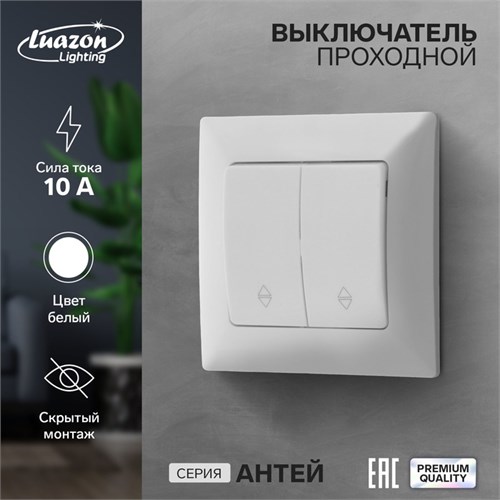 Выключатель проходной Luazon Lighting "Антей", 10 А, 2 клавиши, скрытый, белый 9925753 - фото 17166016