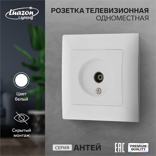Розетка телевизионная одноместная Luazon Lighting "Антей", скрытая, белая 9925789 - фото 17166090