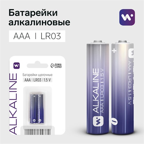 Батарейка алкалиновая Windigo, AAA, LR03, блистер, 2 шт 9780937 - фото 17171383