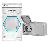 Розетка 2-м ОП Dita 16А IP54 250В с заземл. с крышкой сер. TOKOV ELECTRIC TKL-DT-R2Z-C06-IP54 1710658